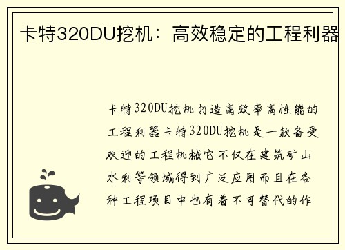 卡特320DU挖机：高效稳定的工程利器